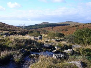 Parc du Dartmoor