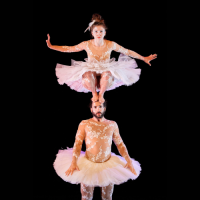 Portrait promotionnel du lac des Cygnes par la compagnie l'éolienne. Le spectacle a eu lieu à la Confluence le samedi 1er février 2025.
